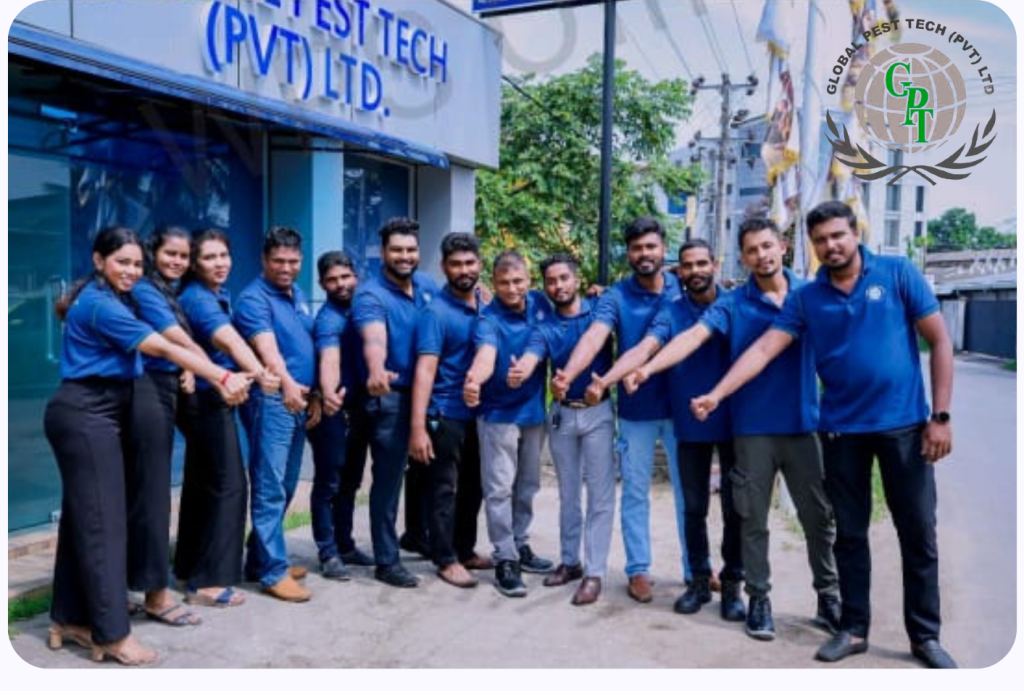 Red And Purple Bold Summer Party Flyer 1 e1762433168590